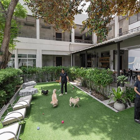 Ketawa Pet Friendly Hotel Chiang Mai Esterno foto
