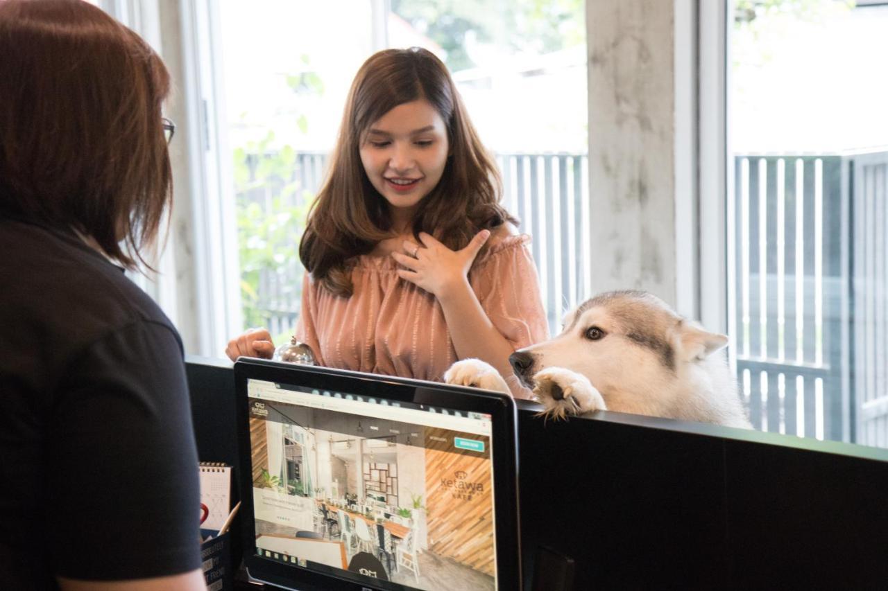 Ketawa Pet Friendly Hotel Chiang Mai Esterno foto