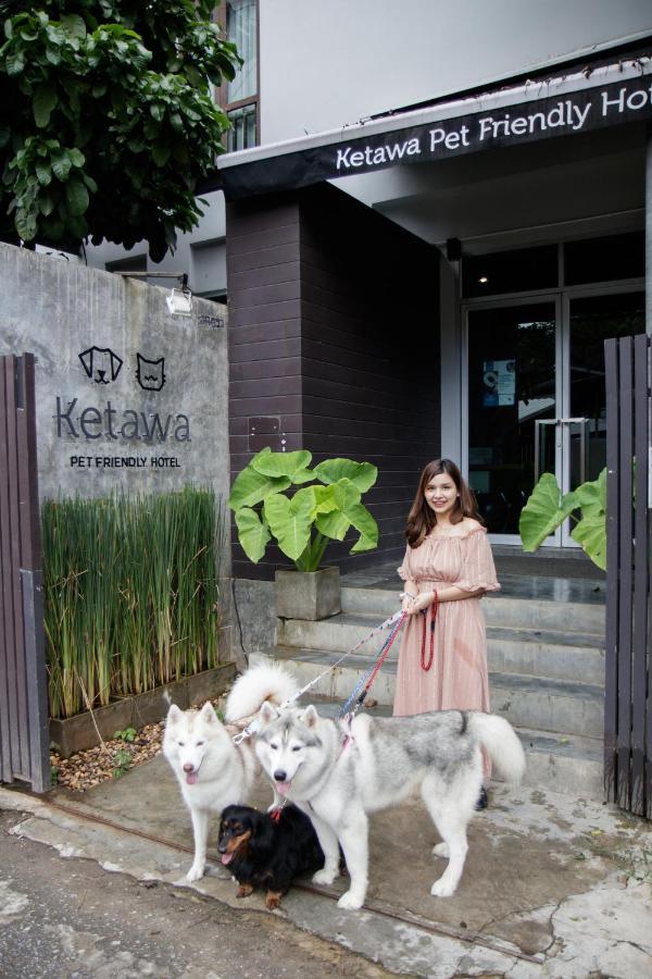 Ketawa Pet Friendly Hotel Chiang Mai Esterno foto