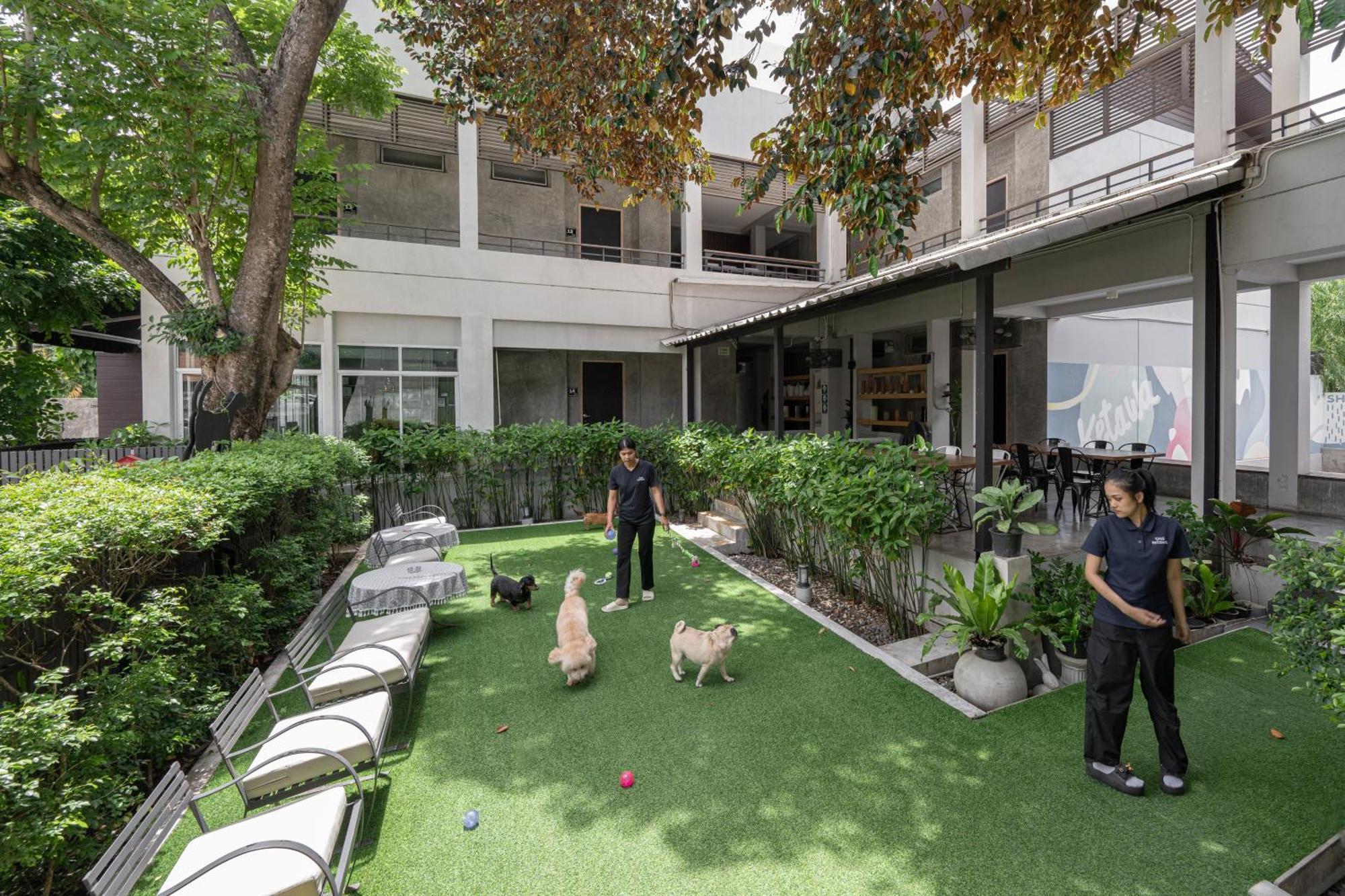 Ketawa Pet Friendly Hotel Chiang Mai Esterno foto