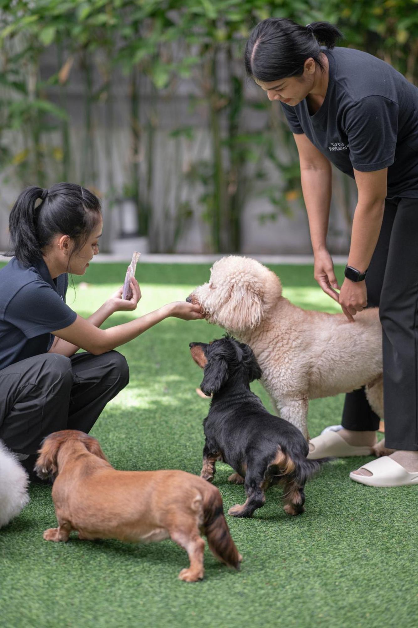 Ketawa Pet Friendly Hotel Chiang Mai Esterno foto