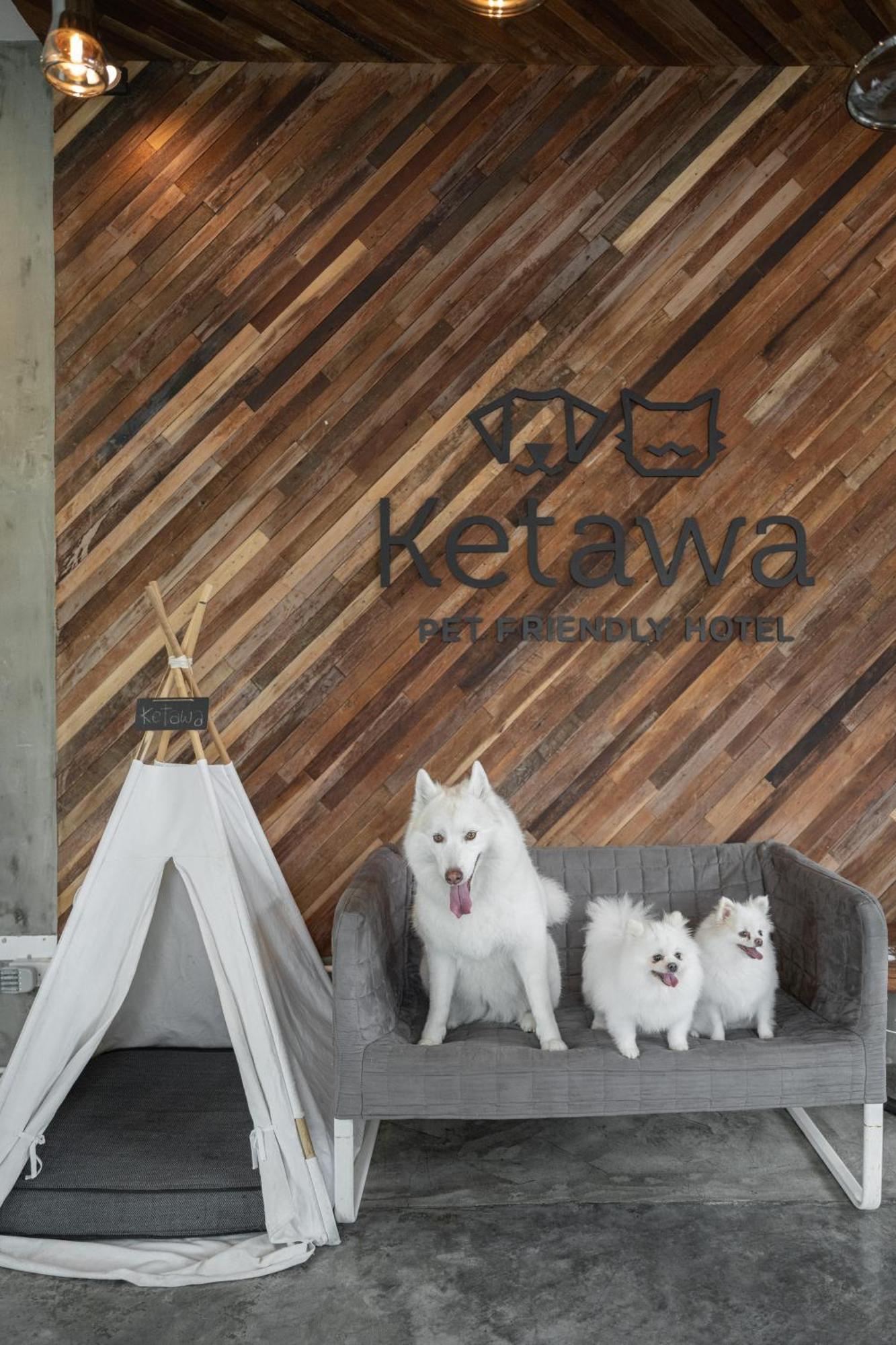 Ketawa Pet Friendly Hotel Chiang Mai Esterno foto