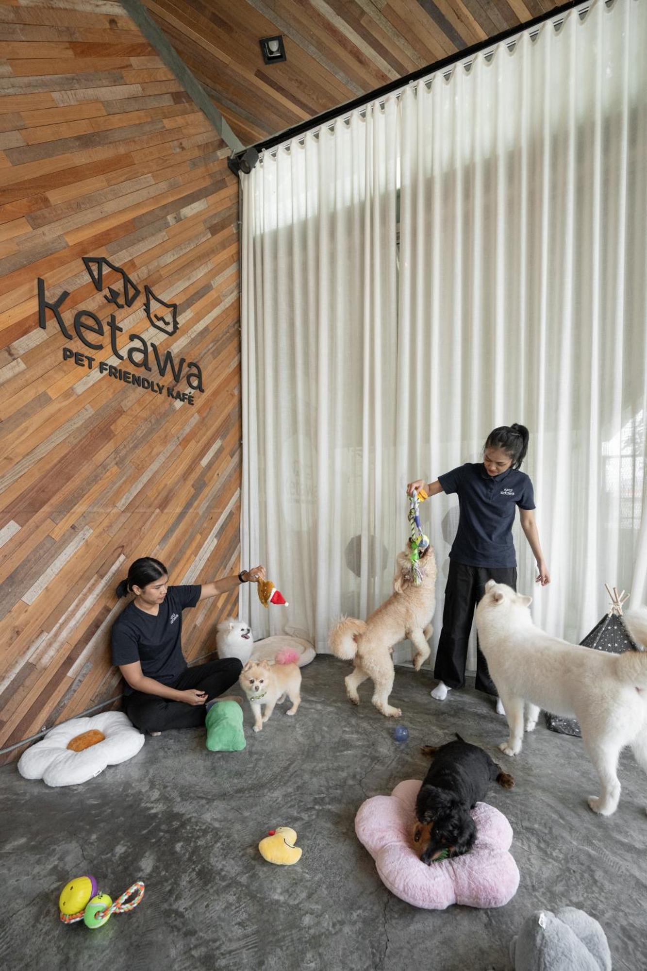 Ketawa Pet Friendly Hotel Chiang Mai Esterno foto