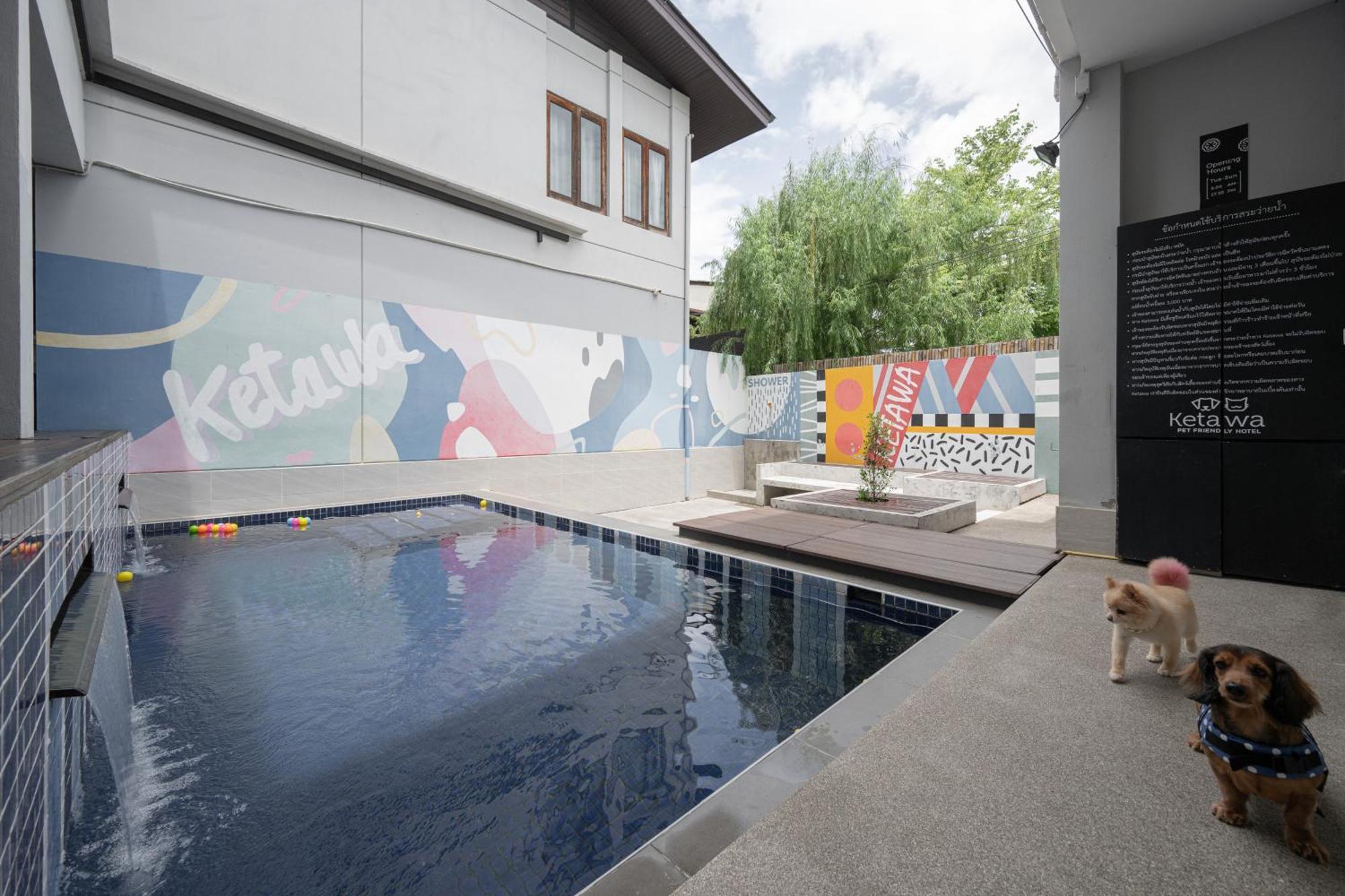 Ketawa Pet Friendly Hotel Chiang Mai Esterno foto