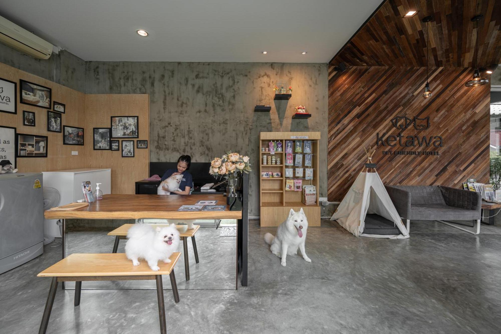 Ketawa Pet Friendly Hotel Chiang Mai Esterno foto